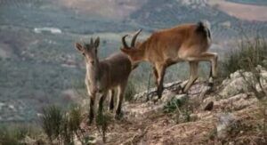 Foto de Paraje El Torcal